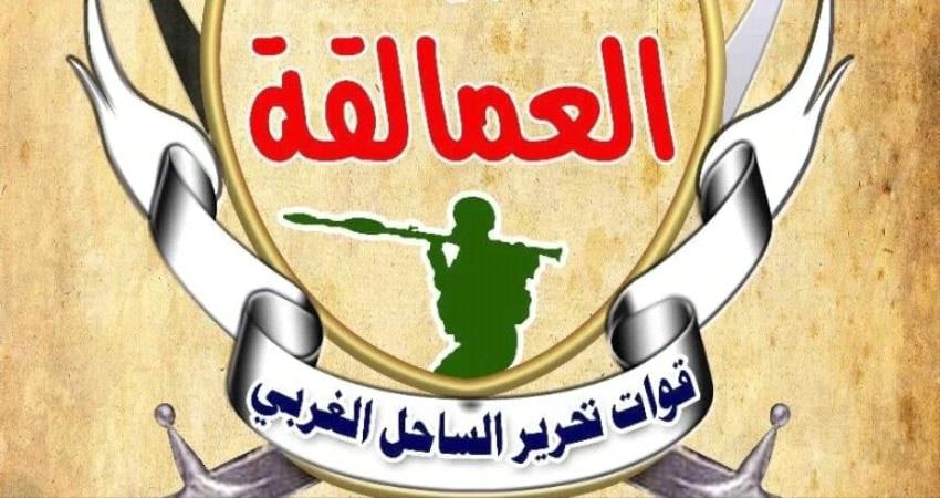 الوية العمالقة ترد على تصريحات قوات الشرعية بشأن تحرير بيحان .. تفاصيل