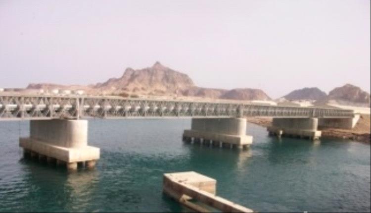 تحذير عاجل من وجود سمكة قرش كبير في سواحل عدن 