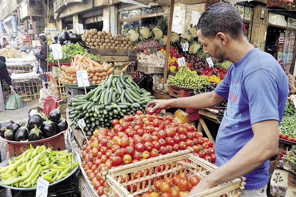 صادم جدا سعر خيالي للكيلو جرام الواحد للطماطم في عدن لن تصدق