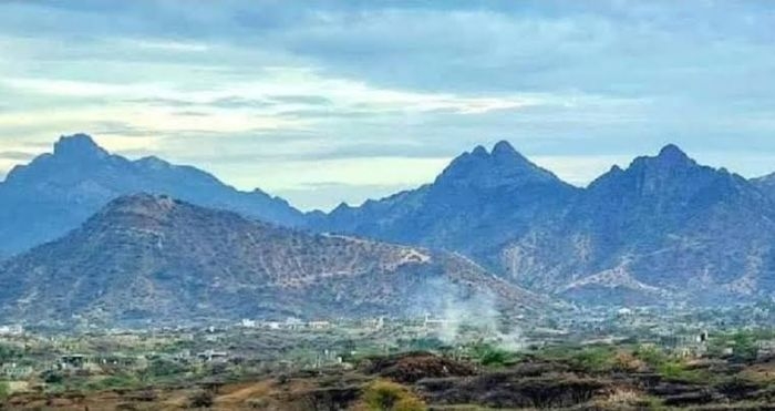  قبائل الوازعية تطالب المتورطين بجريمة التقطع لتسليم أنفسهم